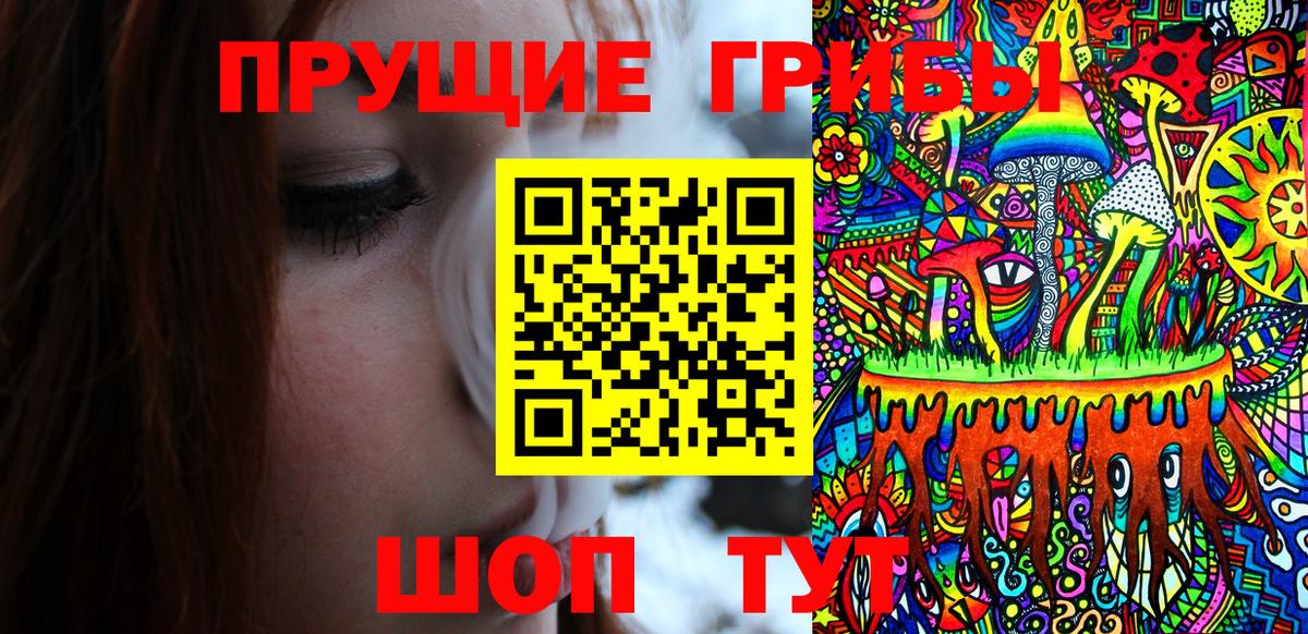 Псилоцибиновые грибы Cubensis Севастополь